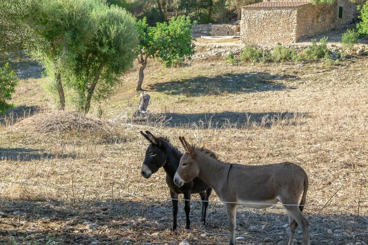 Chalé Son Esquerra Vila Es Carritxo